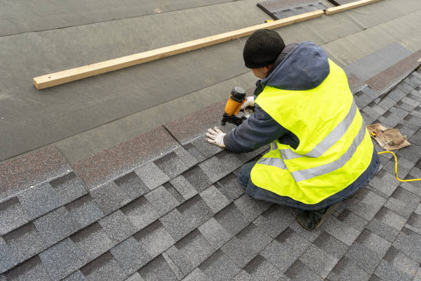 Best Metal Roofing Contractor  in Wayland, IA