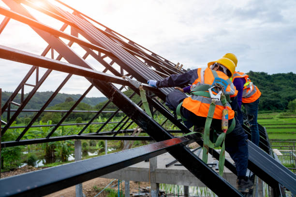 Best Roof Leak Repair  in Wayland, IA