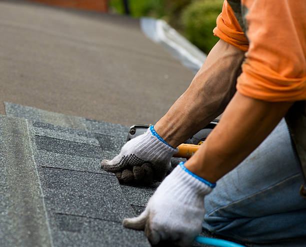 Best Roof Gutter Cleaning  in Wayland, IA